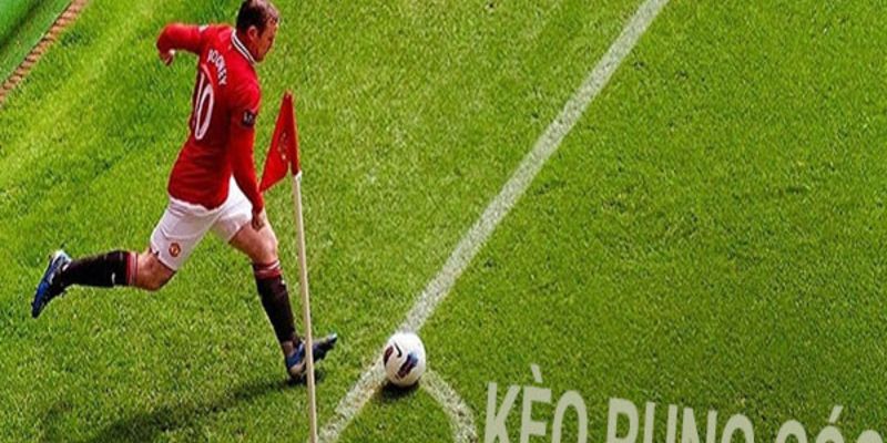 Học hỏi xem kèo rung góc từ cao thủ