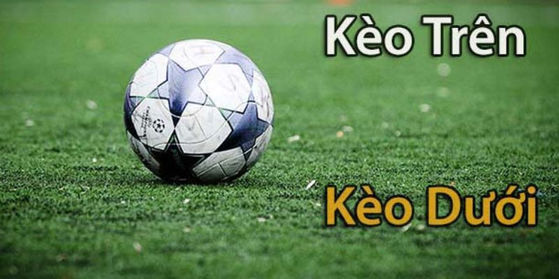 Tham gia kèo cược dưới khá phổ biến ngày nay