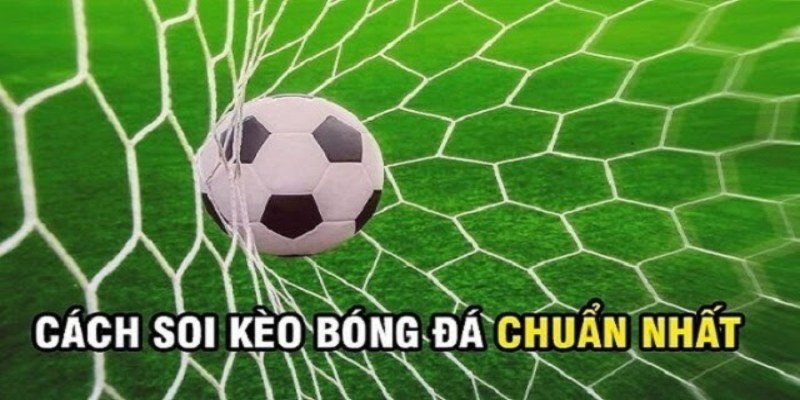 Cần xem xét cách nhà cái định giá và điều chỉnh kèo