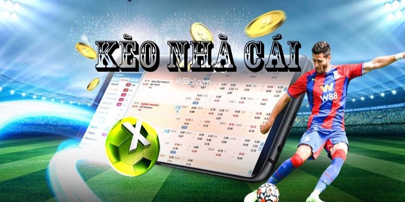 Người soi kèo bóng đá thường là những chuyên gia 