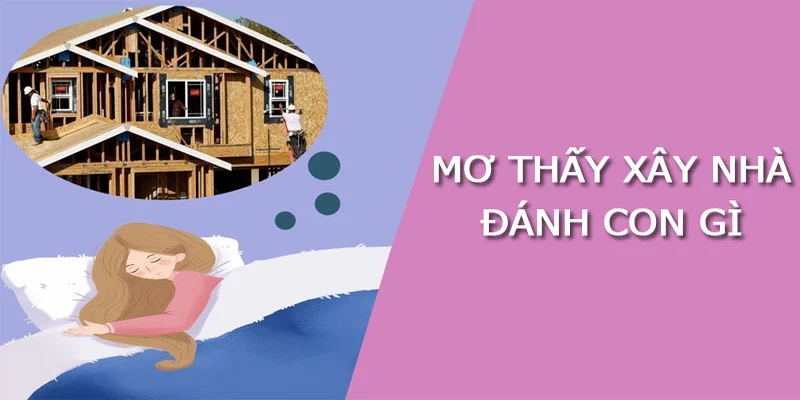 Mơ thấy xây nhà cao tầng đánh số mấy?