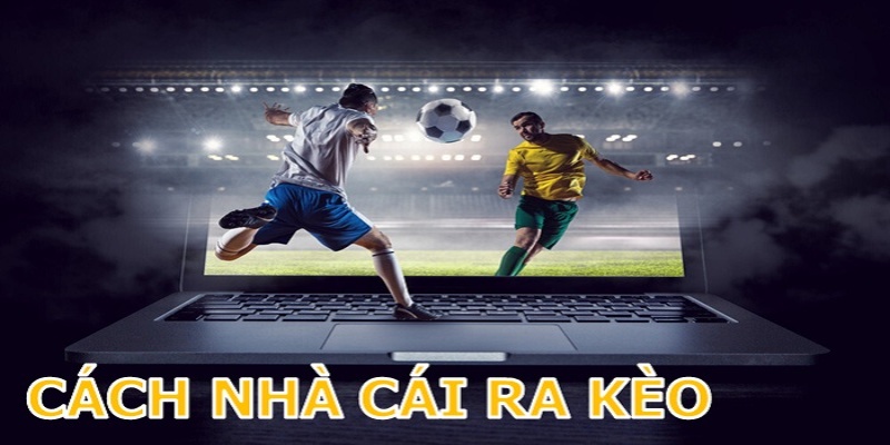 Bạn có thể tham gia vào các loại cược xiên khác nhau