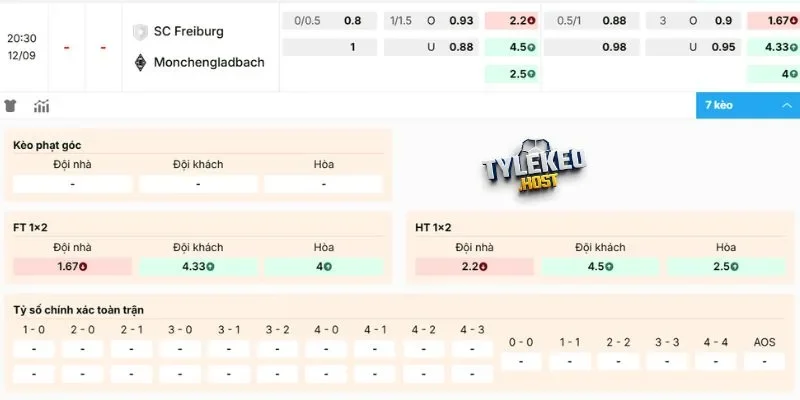 Kèo cược dự kiến trận Freiburg vs M'gladbach